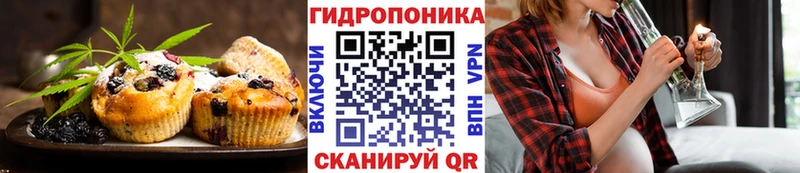 Canna-Cookies марихуана  OMG вход  Макушино  купить  