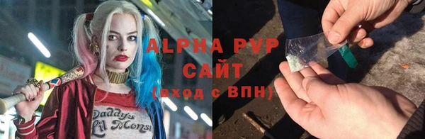 крисы Козловка