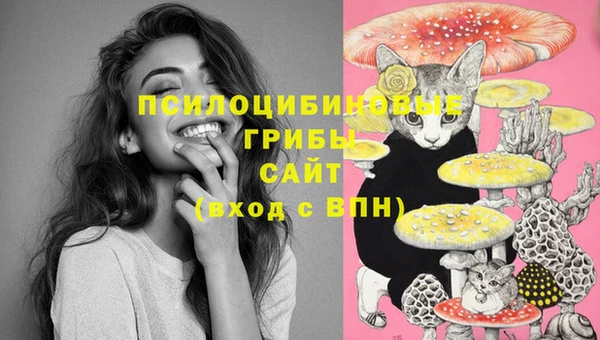 ПСИЛОЦИБИНОВЫЕ ГРИБЫ Козельск