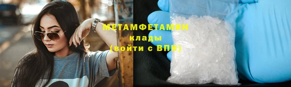 крисы Козловка