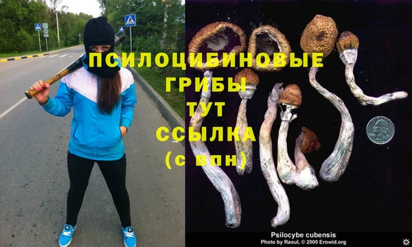 дживик Кодинск