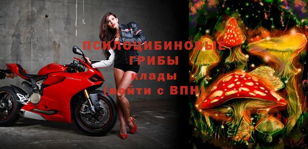 дживик Кодинск