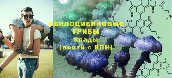 хмурый Киренск
