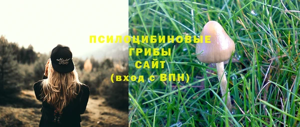 ПСИЛОЦИБИНОВЫЕ ГРИБЫ Козельск