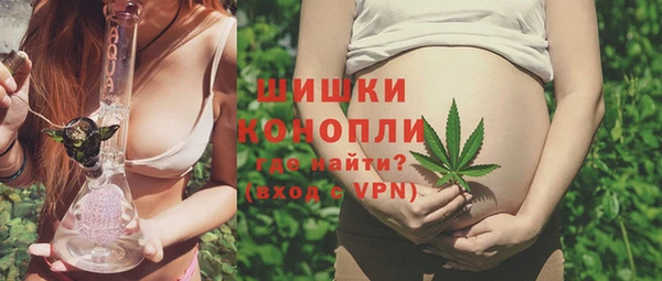 крисы Козловка