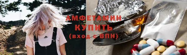 крисы Козловка