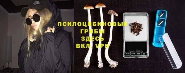 крисы Козловка